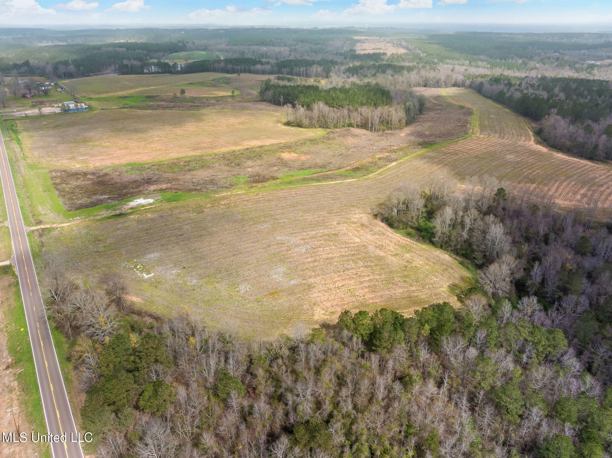 300 Acres /- Highway Mount Olive, MS 39119 - Photo 50 of 54 00_MS-532-50