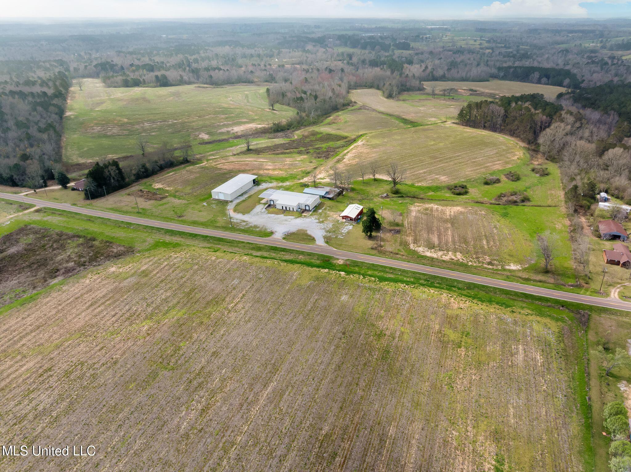 300 Acres /- Highway Mount Olive, MS 39119 - Photo 5 of 54 00_MS-532-5