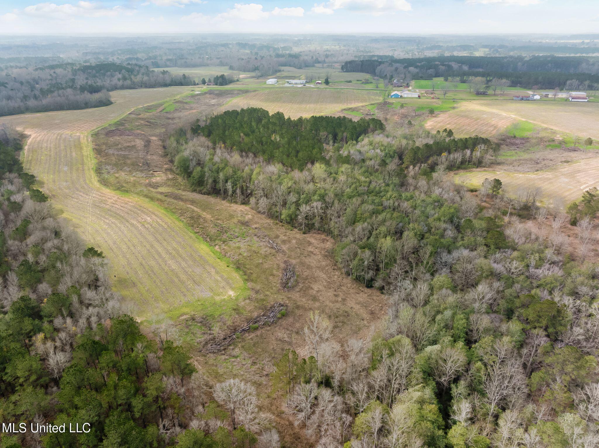 300 Acres /- Highway Mount Olive, MS 39119 - Photo 51 of 54 00_MS-532-51