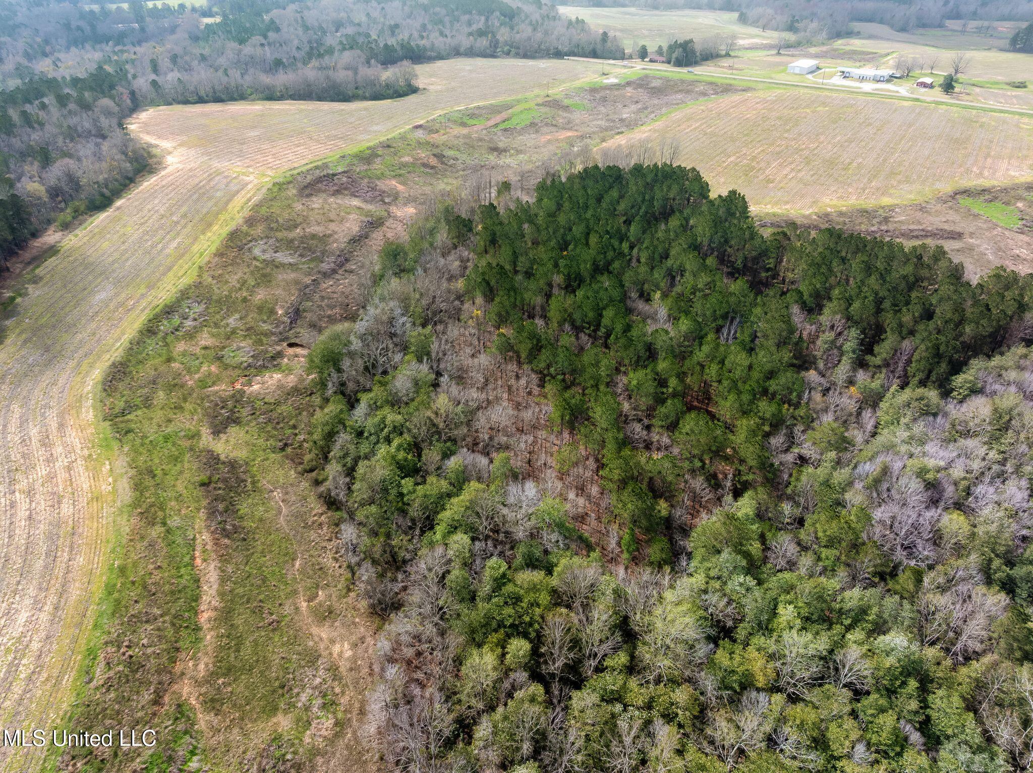 300 Acres /- Highway Mount Olive, MS 39119 - Photo 52 of 54 00_MS-532-52