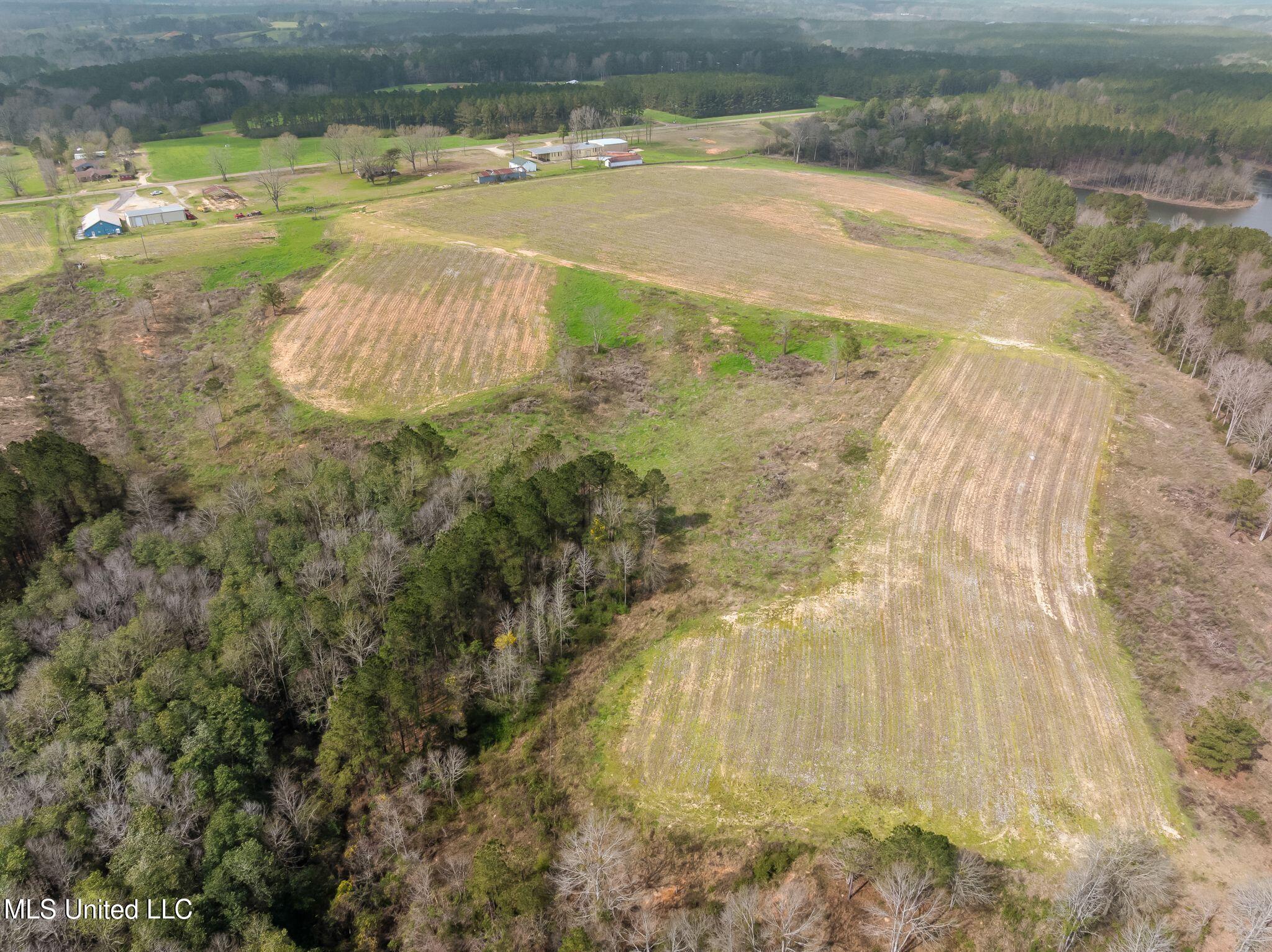 300 Acres /- Highway Mount Olive, MS 39119 - Photo 53 of 54 00_MS-532-53