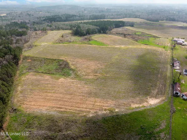 $1,200,000 | 300 Acres /- Highway, Mount Olive, MS 39119