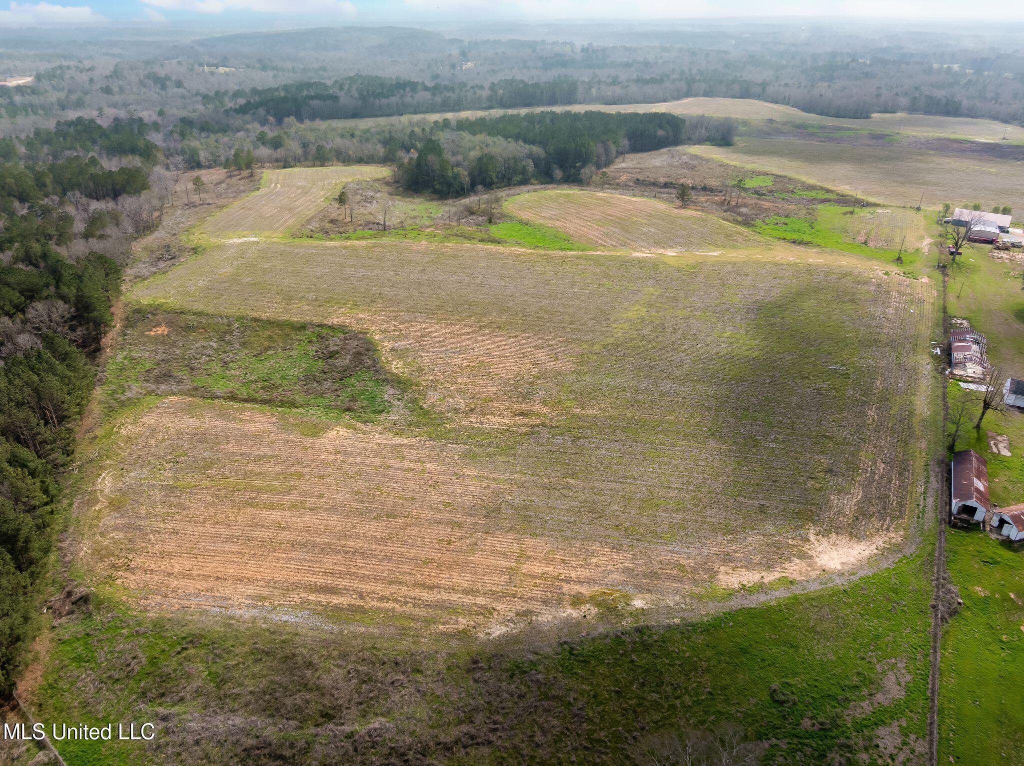 300 Acres /- Highway Mount Olive, MS 39119 - Photo 54 of 54 00_MS-532-54