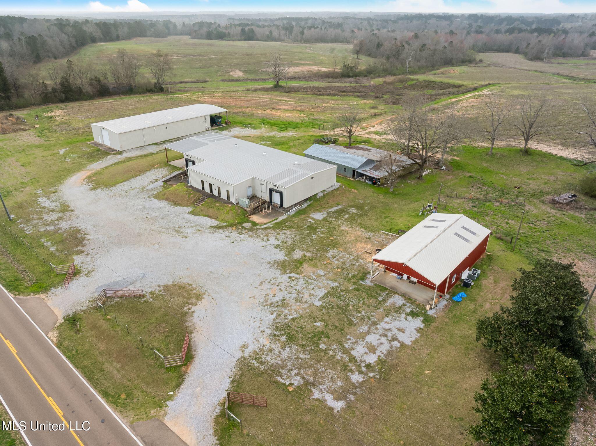 300 Acres /- Highway Mount Olive, MS 39119 - Photo 6 of 54 00_MS-532-6
