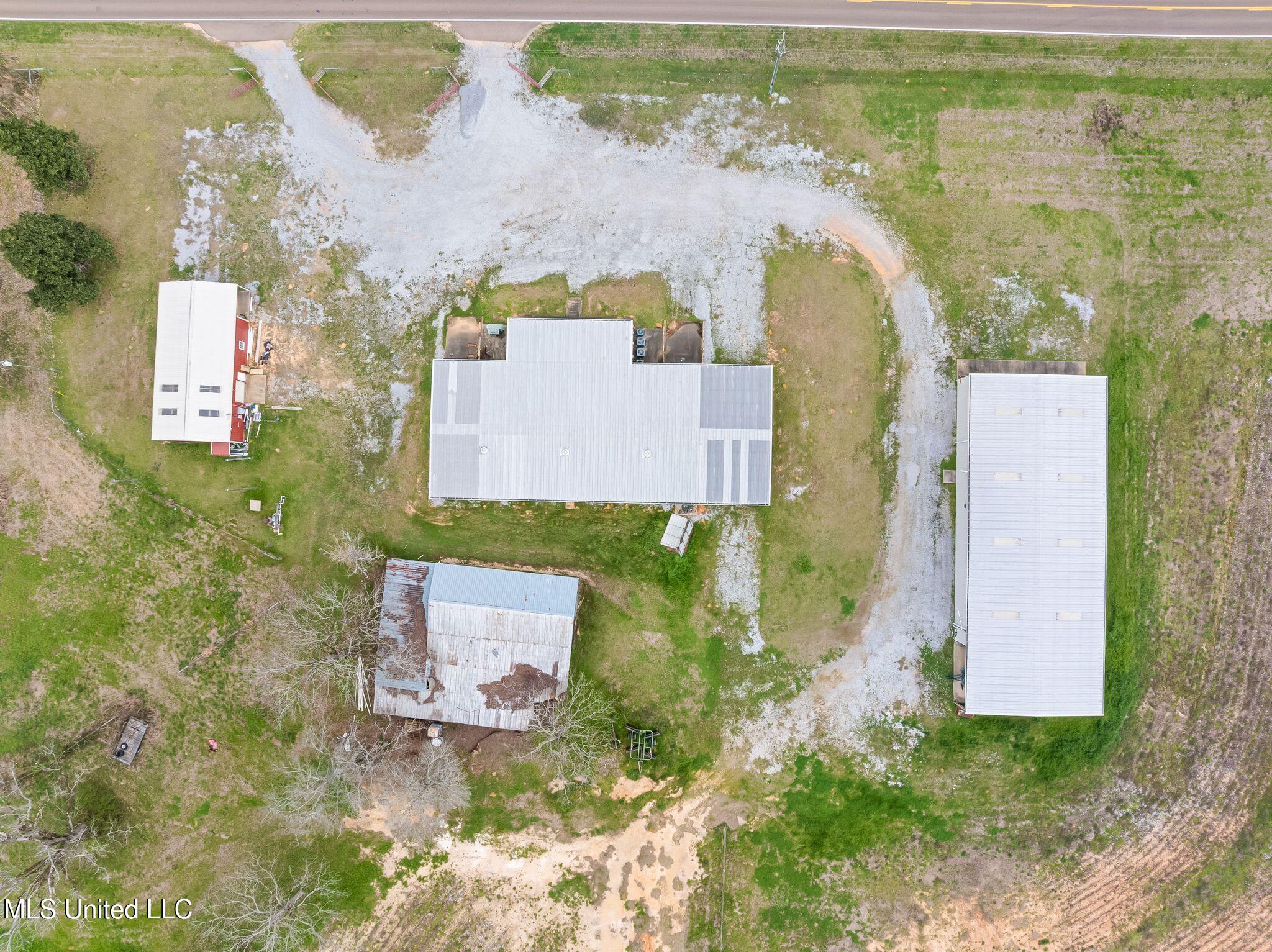 300 Acres /- Highway Mount Olive, MS 39119 - Photo 7 of 54 00_MS-532-7