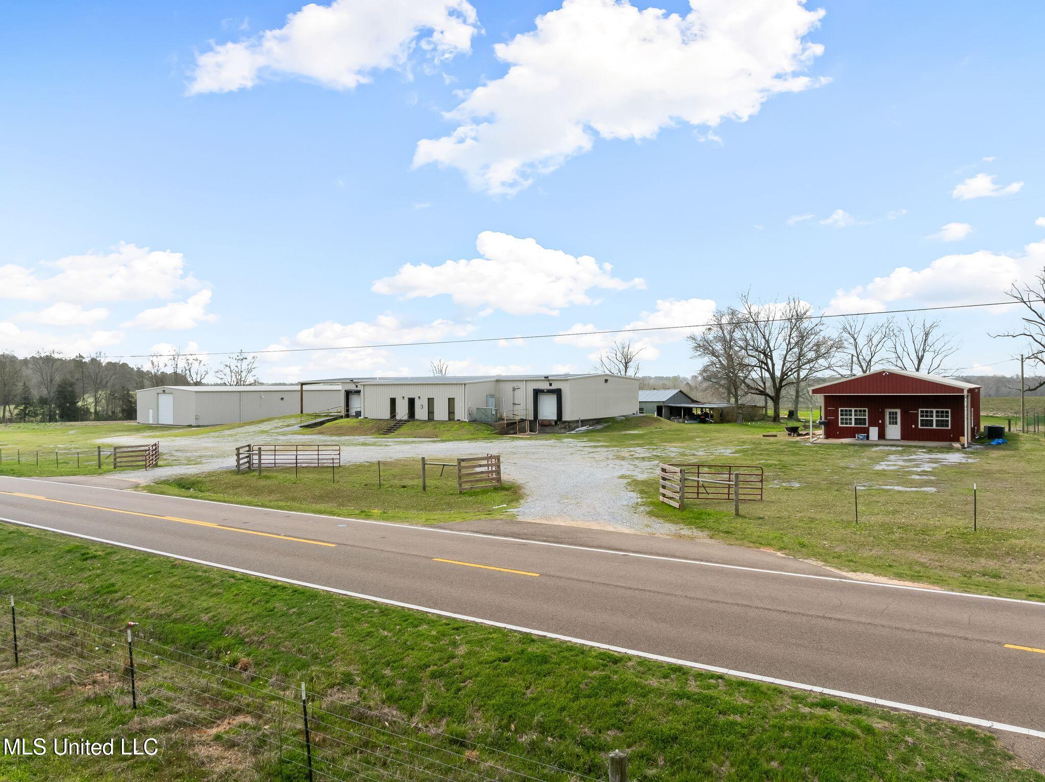 300 Acres /- Highway Mount Olive, MS 39119 - Photo 8 of 54 00_MS-532-8