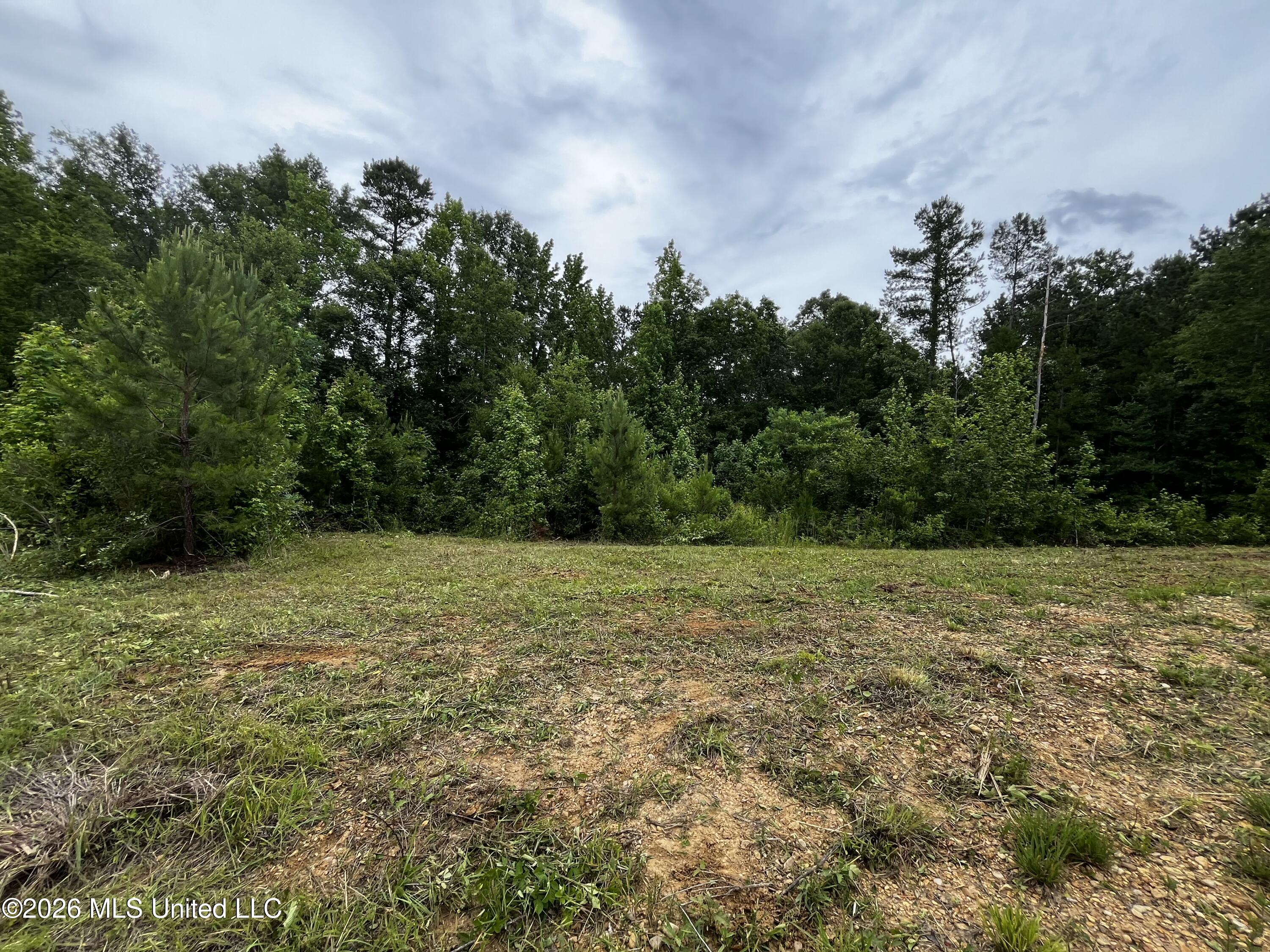 Cline Road Wesson, MS 39191 - Photo 7 of 16 IMG_1153