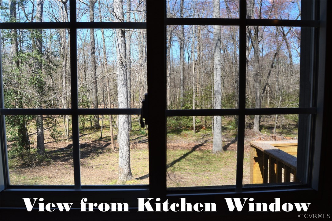8530 Boones Trail Road Chesterfield, VA 23832 - Photo 9 of 21 a black and white window