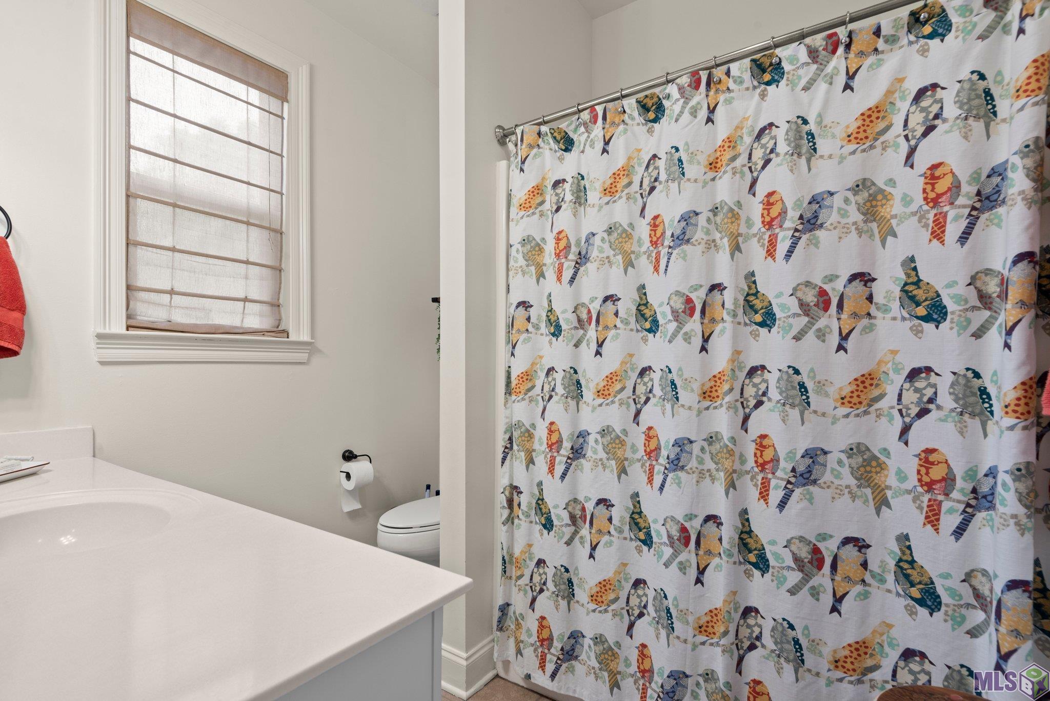 2224 Springlake Drive Baton Rouge, LA 70810 - Photo 14 of 15 Gallery Image 14