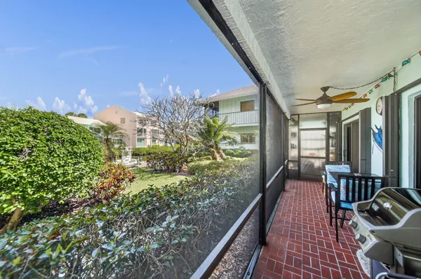 a plant is in front of a door