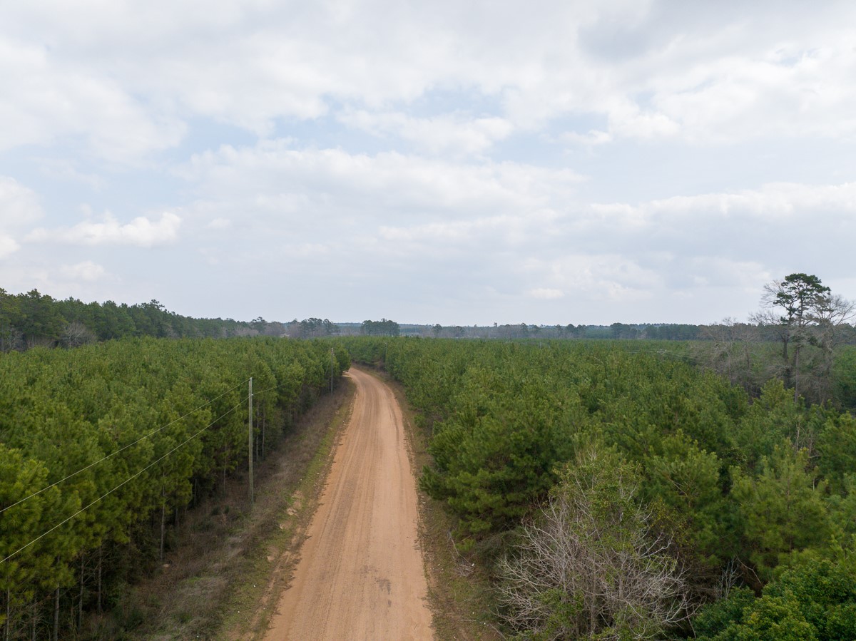 2 Union Springs Road Corrigan, TX 75939 - Photo 16 of 21 a view of a lake with a yard