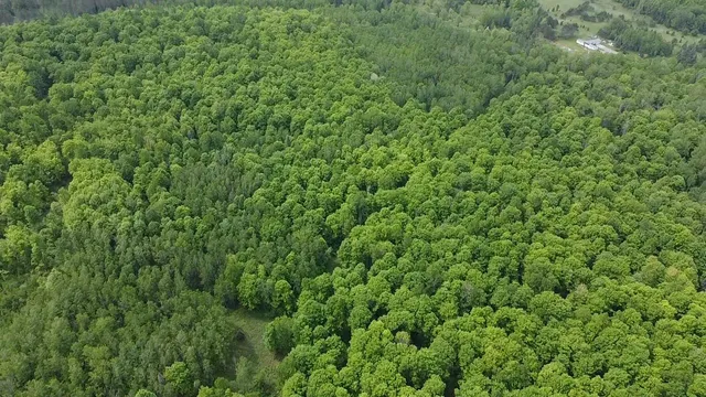 $84,628 | 70 Hwy Tipler Wi 54542, Unit 4, Long Lake, WI 54542