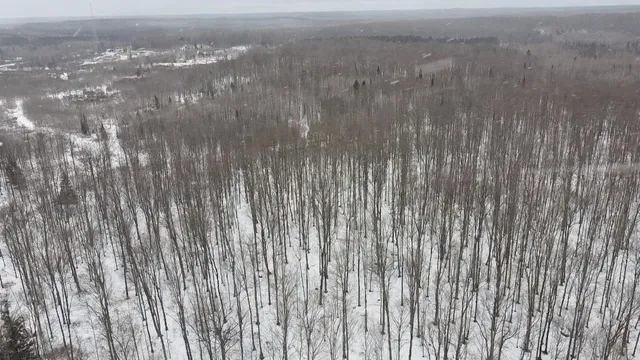 $84,628 | 70 Hwy Tipler Wi 54542, Unit 4, Long Lake, WI 54542