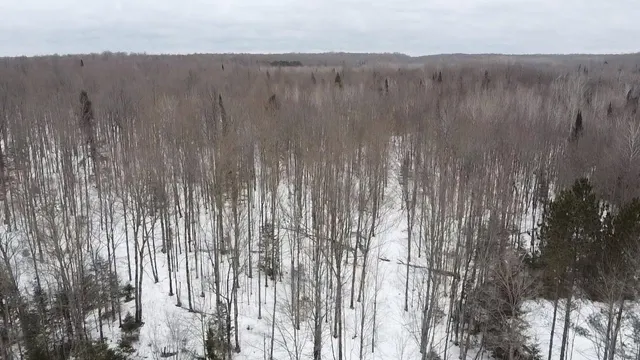 $84,628 | 70 Hwy Tipler Wi 54542, Unit 4, Long Lake, WI 54542