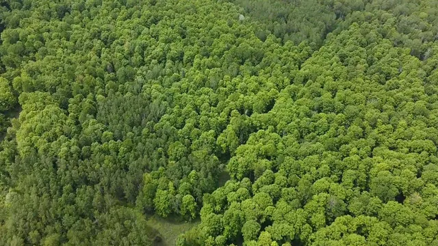 $84,628 | 70 Hwy Tipler Wi 54542, Unit 4, Long Lake, WI 54542