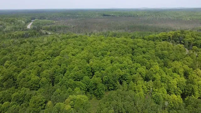 $84,628 | 70 Hwy Tipler Wi 54542, Unit 4, Long Lake, WI 54542