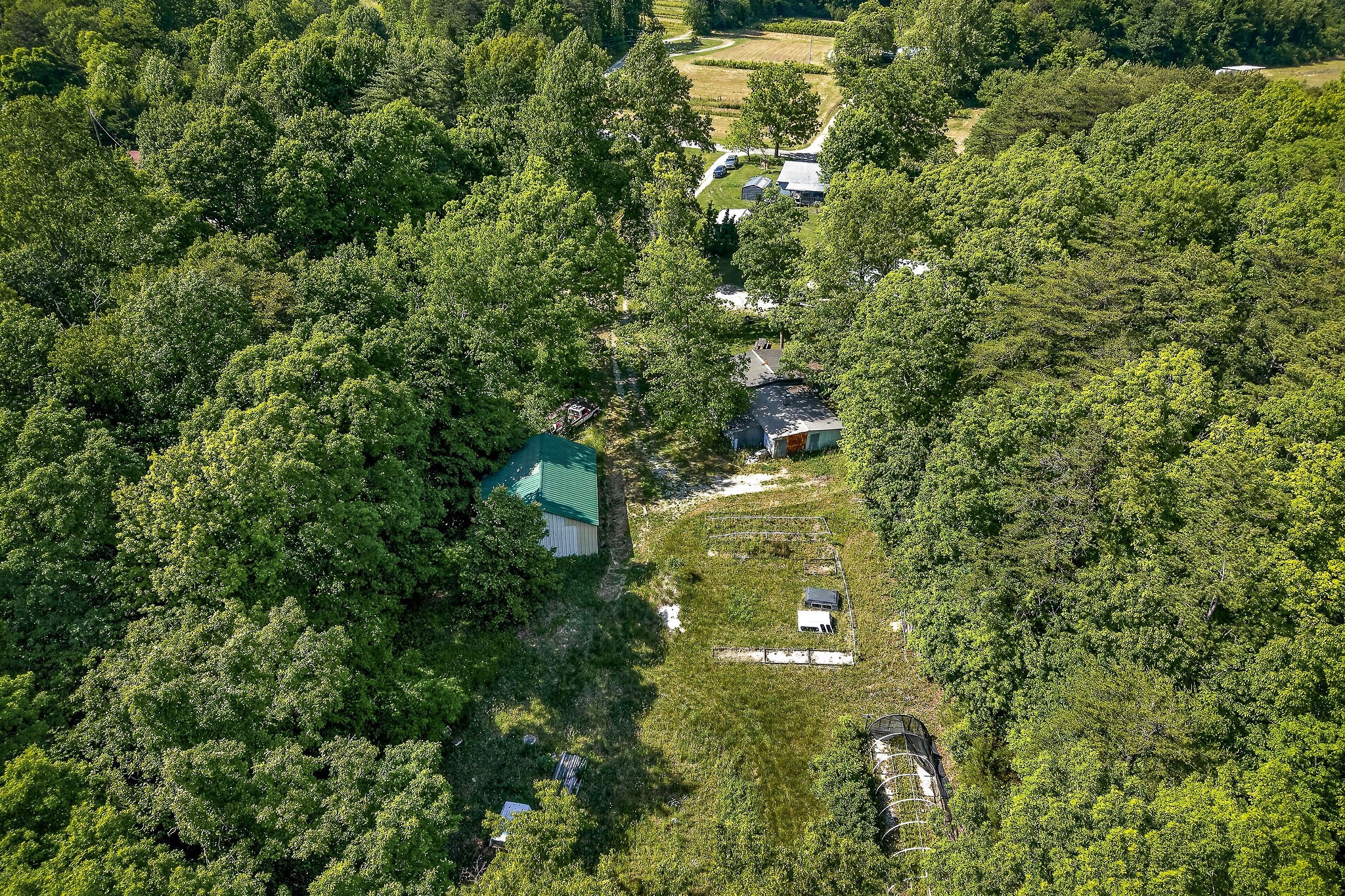 1720 Besstown Road Beersheba Springs, TN 37305 - Photo 14 of 75 a close up of a tree in a garden