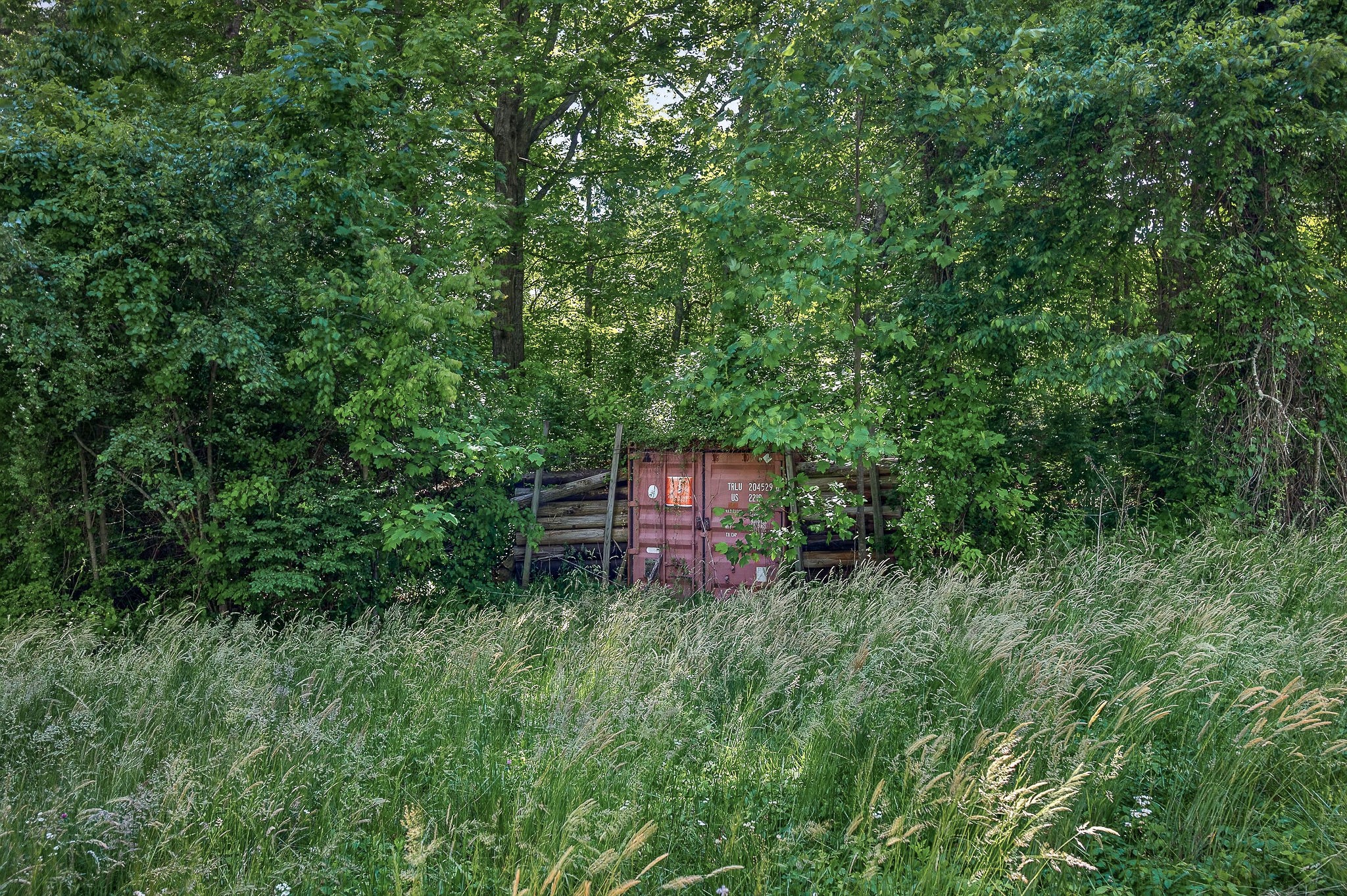 1720 Besstown Road Beersheba Springs, TN 37305 - Photo 46 of 75 a view of a lush green forest