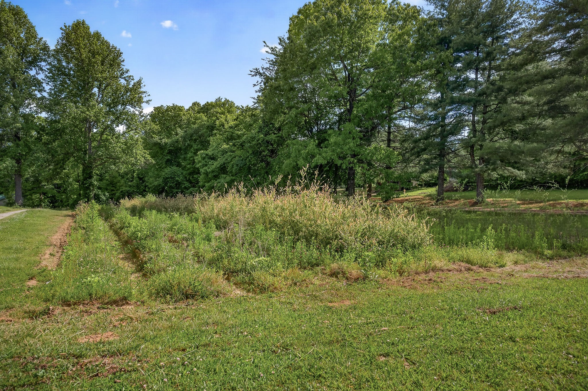 1720 Besstown Road Beersheba Springs, TN 37305 - Photo 53 of 75 a view of a lake with a yard