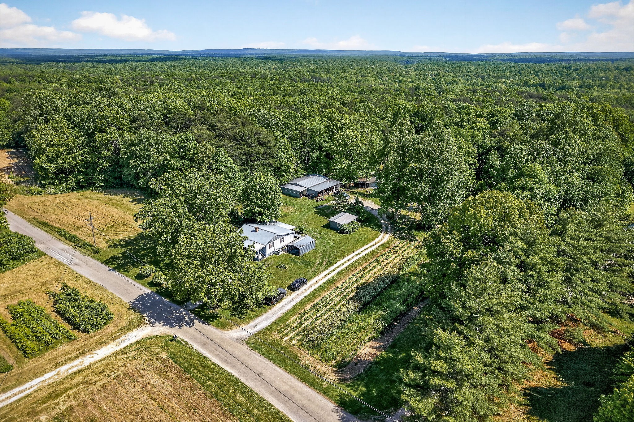 1720 Besstown Road Beersheba Springs, TN 37305 - Photo 7 of 75 a view of a yard