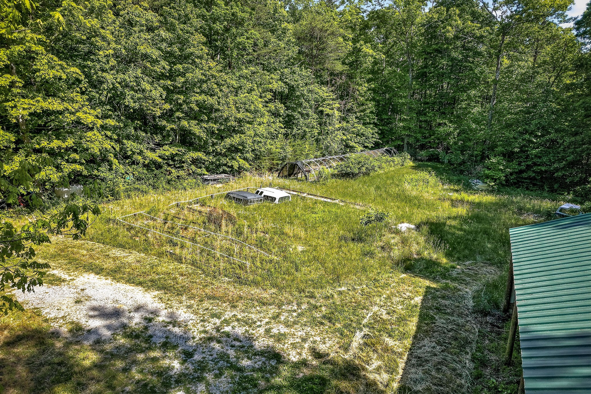 1720 Besstown Road Beersheba Springs, TN 37305 - Photo 10 of 75 a view of a yard with plants and large trees