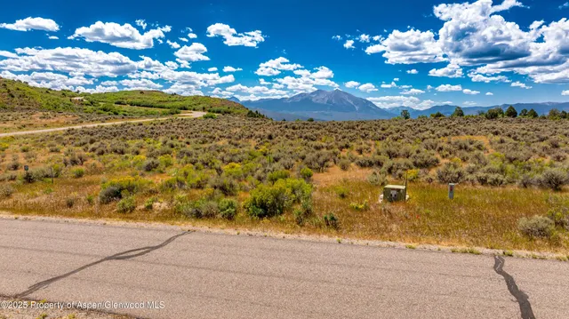 a view of a flower in a yard