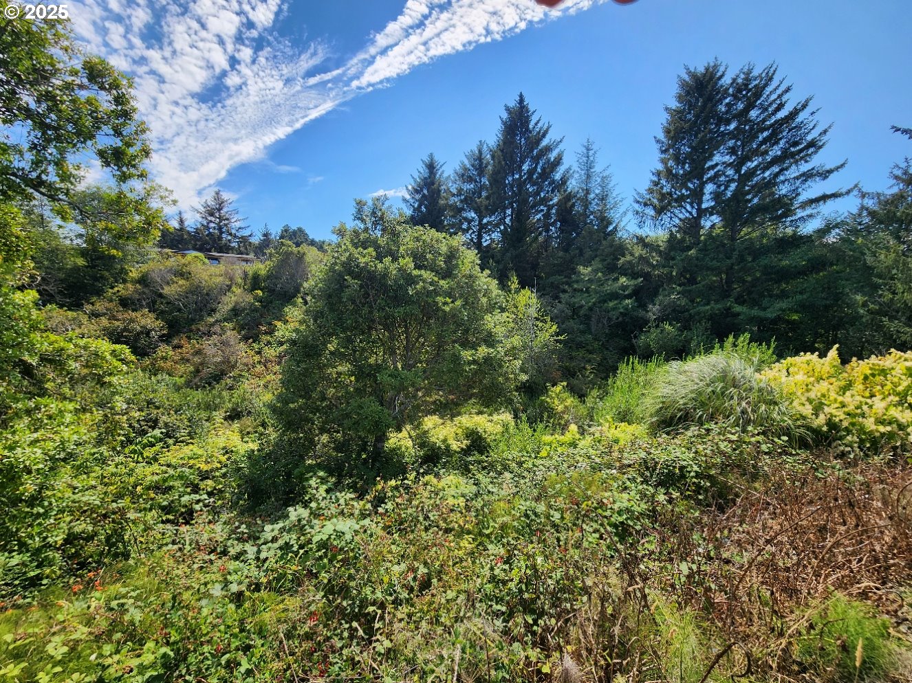 33050 Hillside Acres Road Gold Beach, OR 97444 - Photo 25 of 27 Backyard