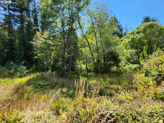 $525,000 | 33050 Hillside Acres Road, Gold Beach, OR 97444