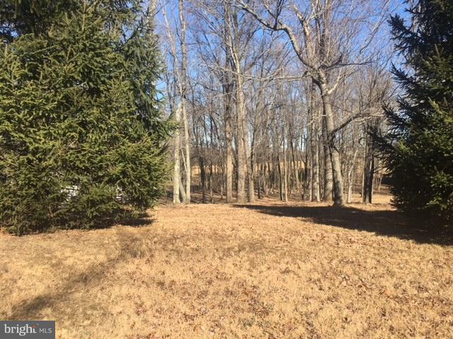 Pine Grove Road Bluemont, VA 20135 - Photo 1 of 2 Exterior (Front)