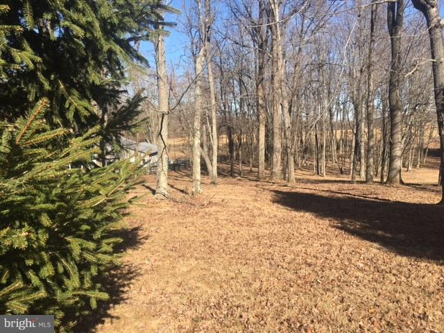Pine Grove Road Bluemont, VA 20135 - Photo 2 of 2 Exterior (Front)