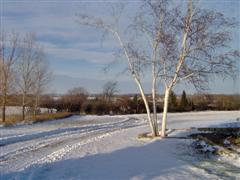 W8547 South And D Town Line Road Sharon, WI 53585 - Photo 1 of 1 Property