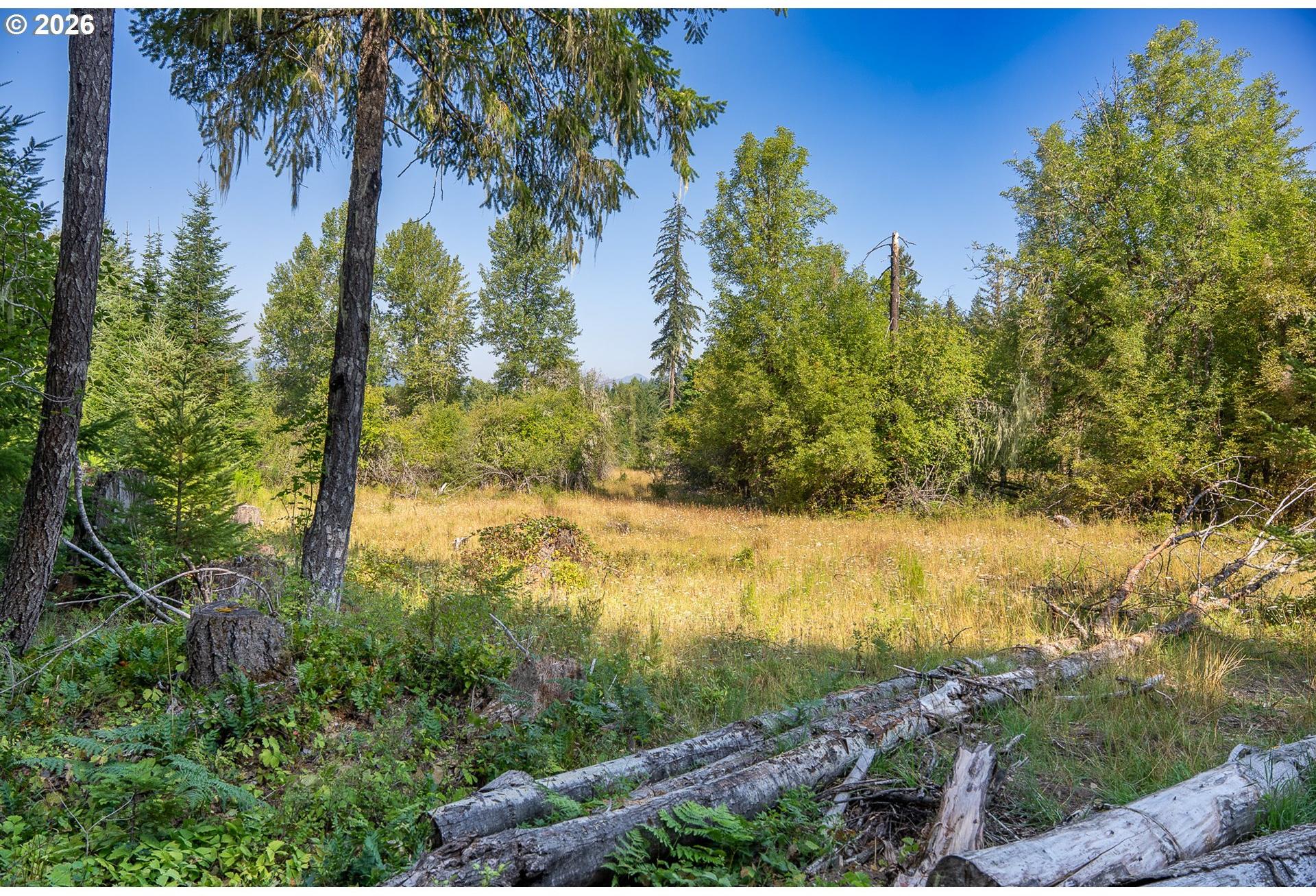 Hawk Meadows Road, Unit 5 Carson, WA 98610 - Photo 3 of 47 Gallery Image 3