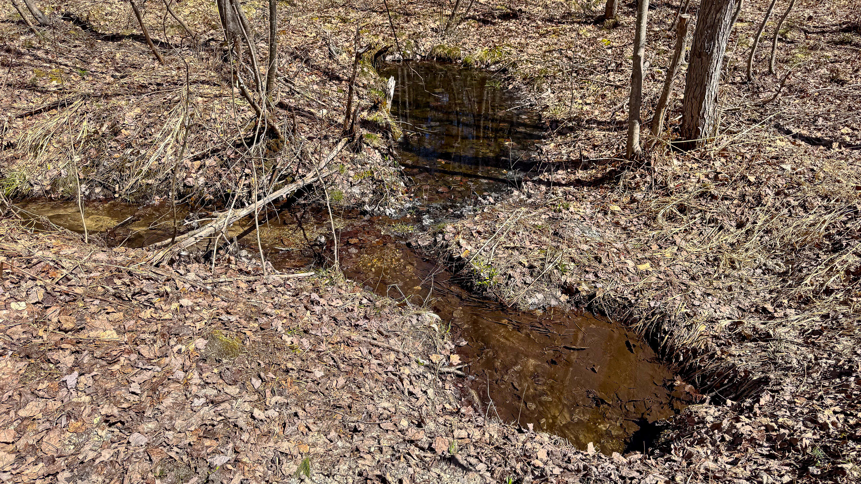 169 South Bridgton Road Bridgton, ME 04009 - Photo 42 of 50 169 So. Bridgton Rd. Bridgton-91