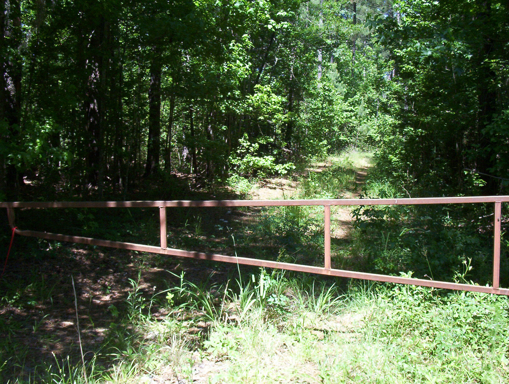 0 Williams Road Williams, SC 29493 - Photo 1 of 10 100_1202