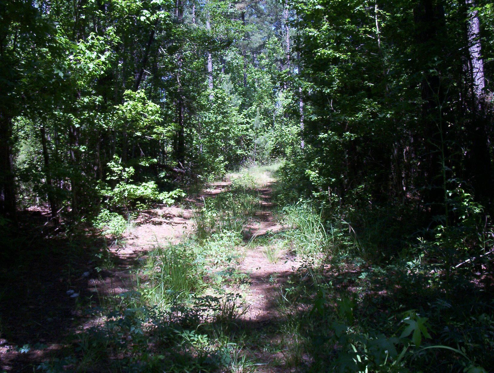 0 Williams Road Williams, SC 29493 - Photo 2 of 10 100_1203