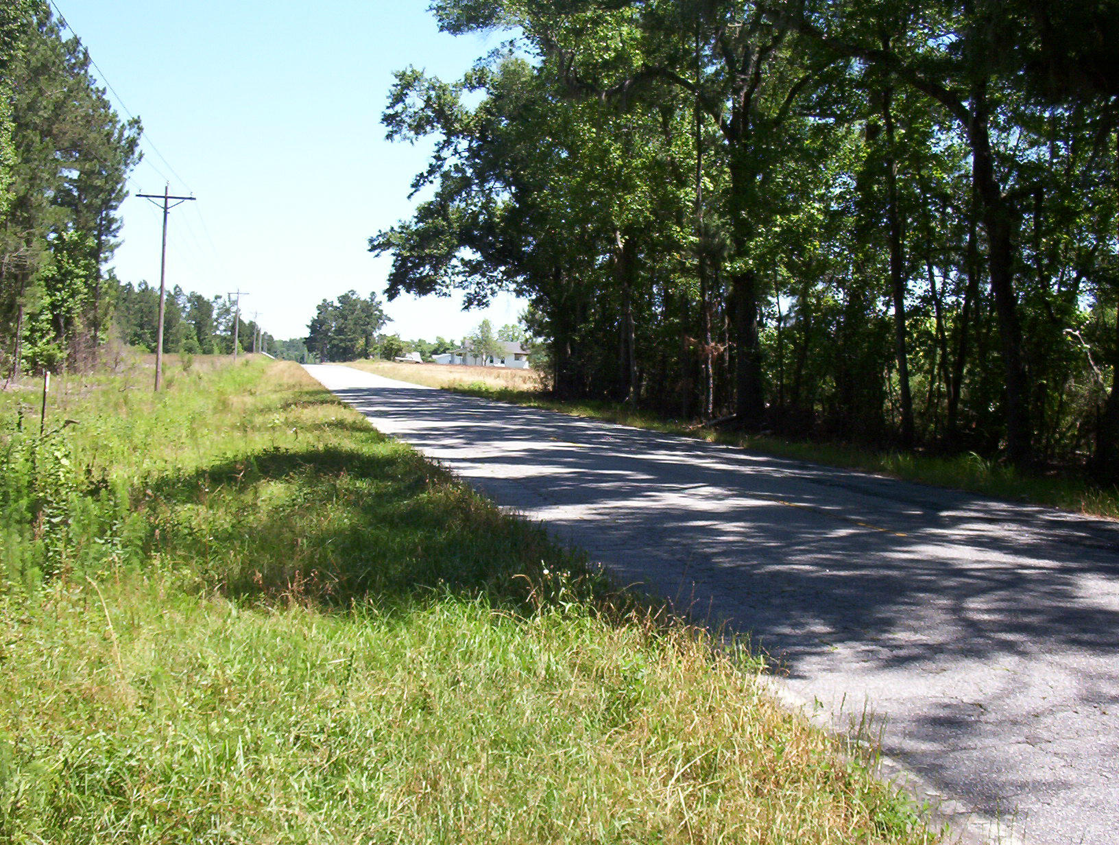 0 Williams Road Williams, SC 29493 - Photo 3 of 10 100_1204