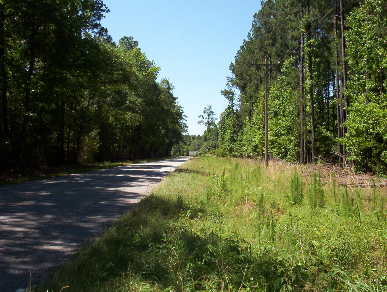 0 Williams Road Williams, SC 29493 - Photo 4 of 10 100_1205