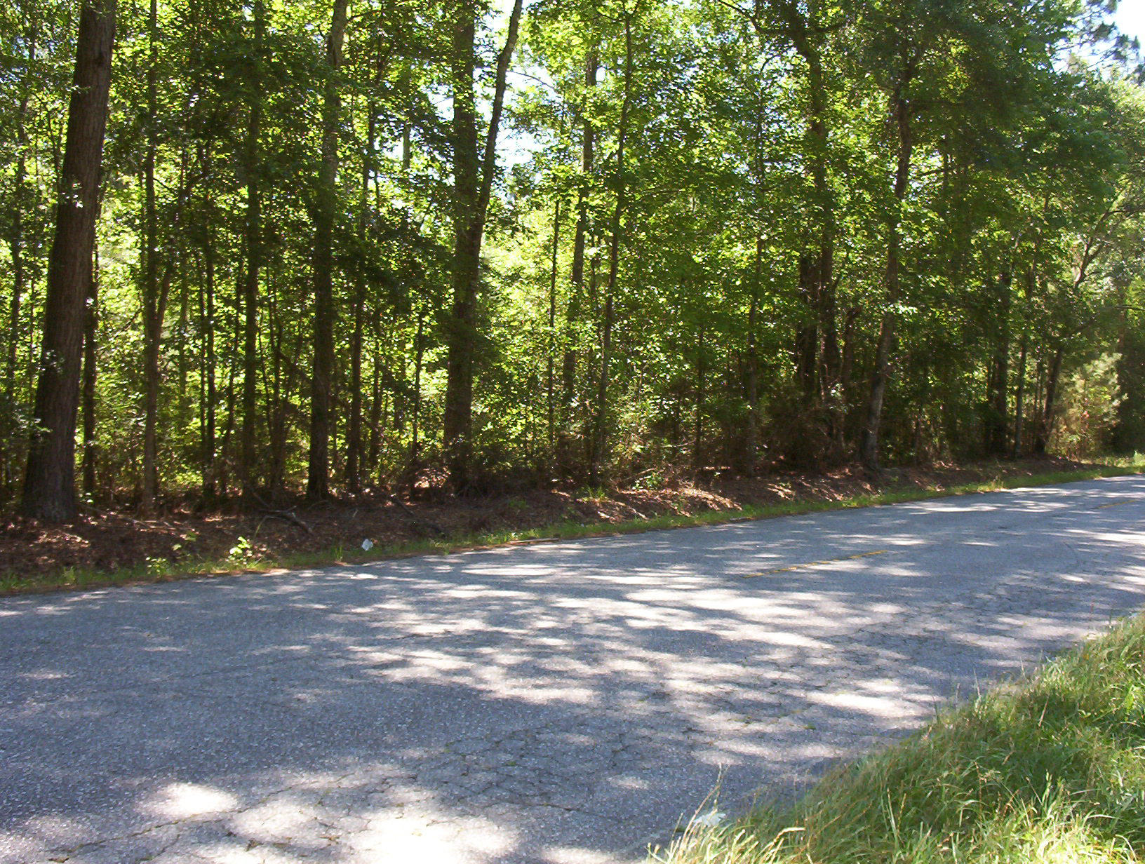 0 Williams Road Williams, SC 29493 - Photo 7 of 10 100_1208