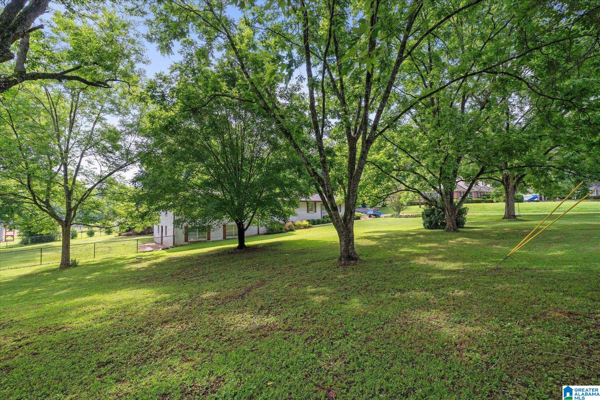 592 Roberts Street Wadley, AL 36276 - Photo 41 of 47