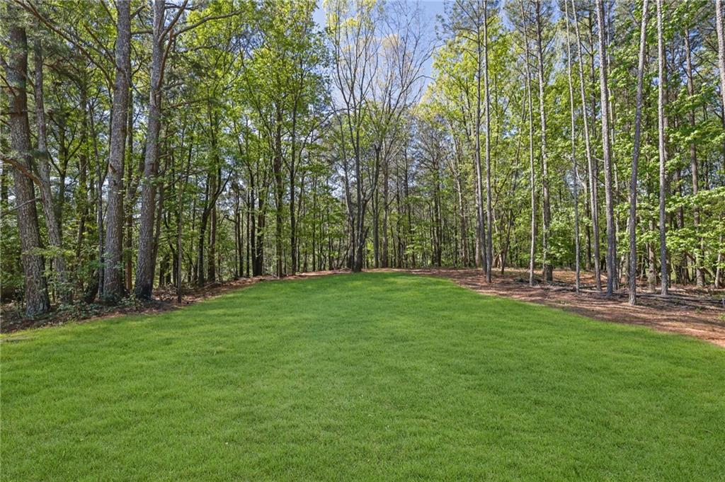 1863 Ben King Road Kennesaw, GA 30144 - Photo 4 of 70