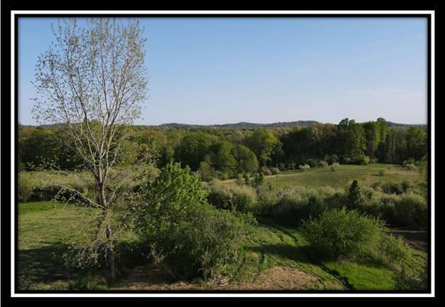 0 Shaver Road, Unit TRACT #4 Blue Rock, OH 43720 - Photo 50 of 60 image050