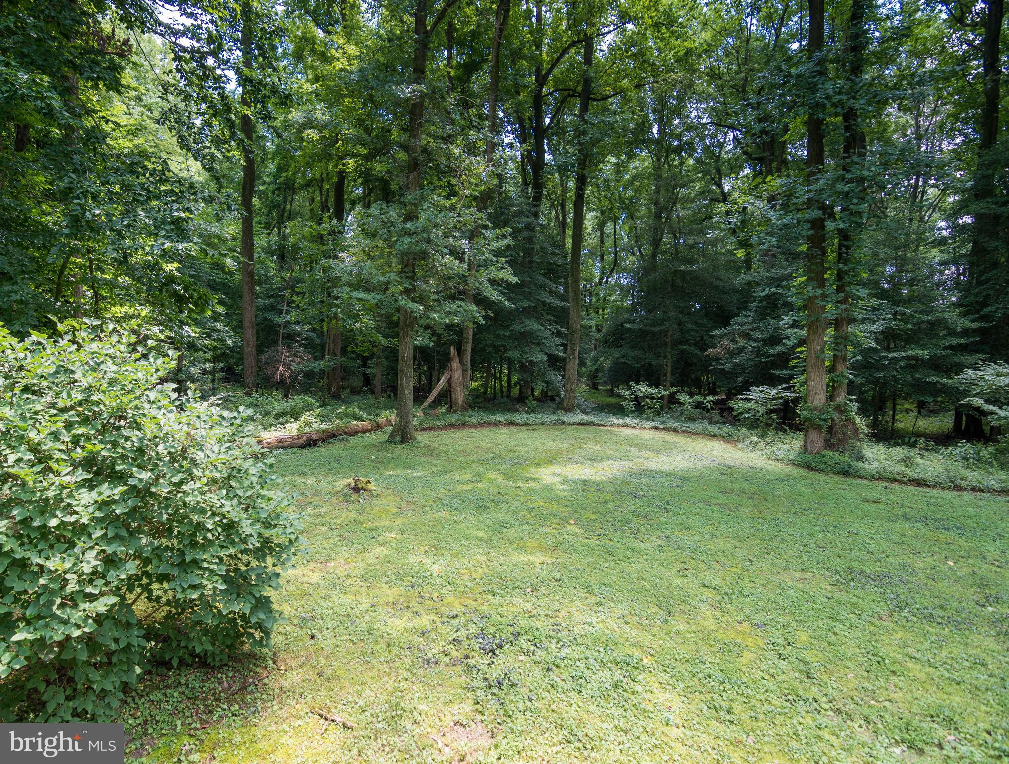 508 Beebe Road Harrington, DE 19952 - Photo 36 of 40 Back yard