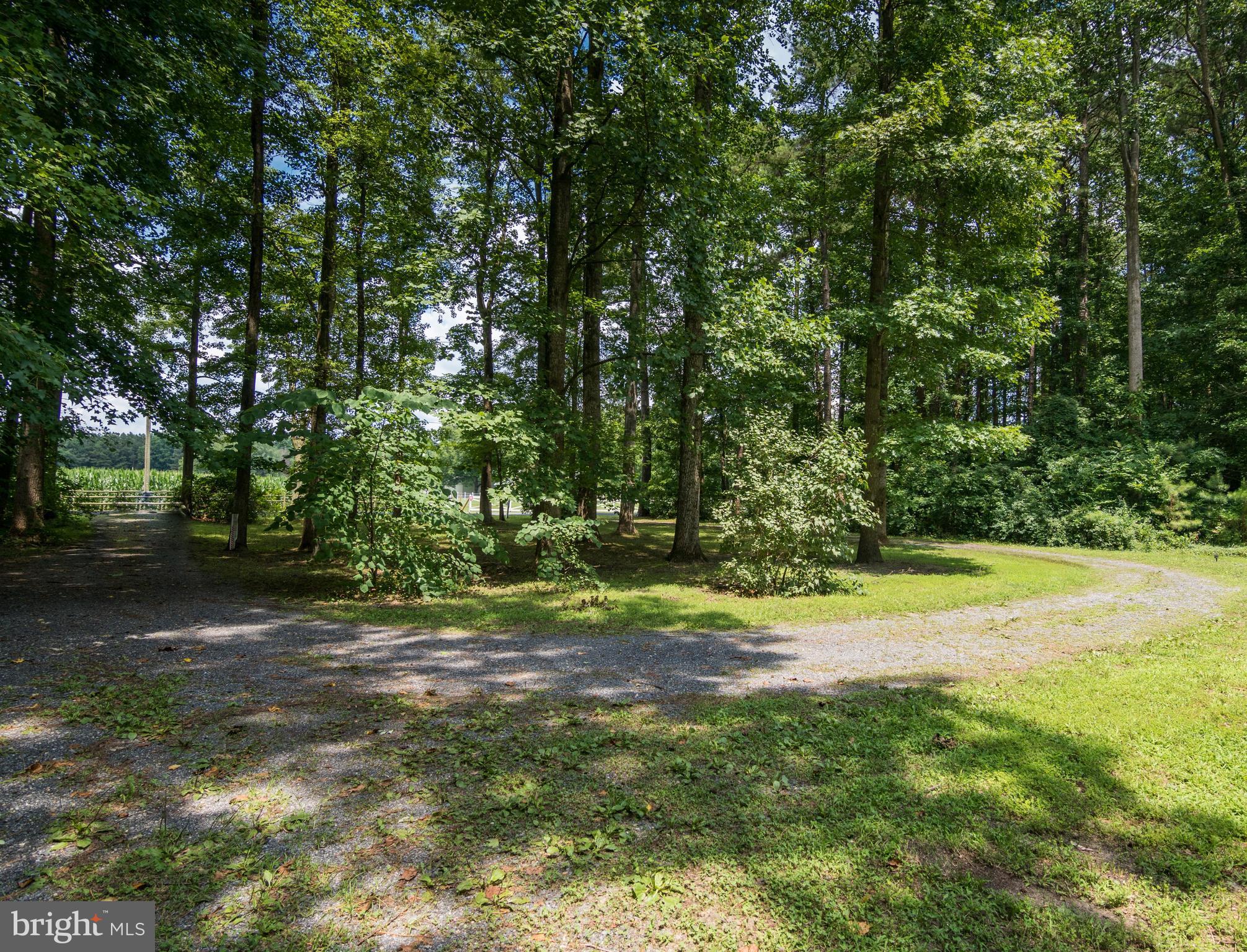 508 Beebe Road Harrington, DE 19952 - Photo 38 of 40 Front lot