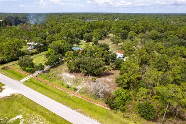 a view of a trees with a big yard