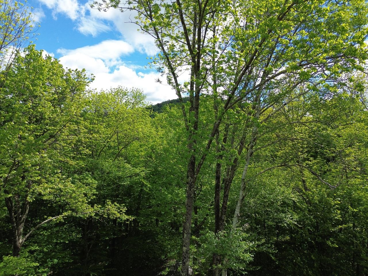 197 Sugar Ledge Road, Unit 4 Warren, VT 05674 - Photo 9 of 17