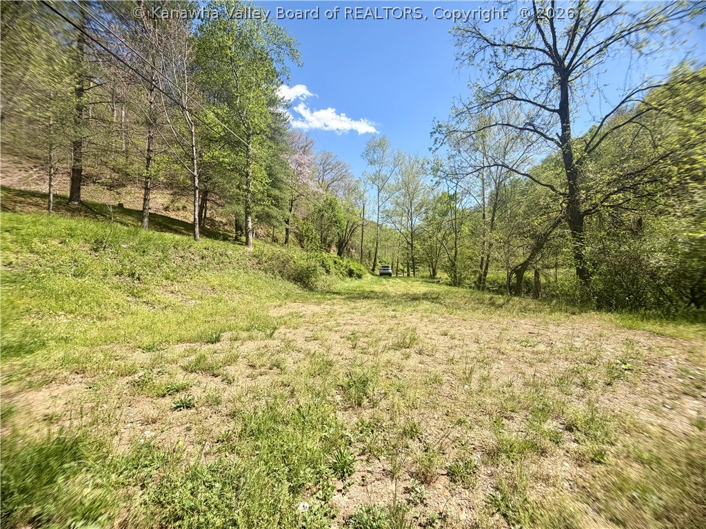 469 Tims Frk Road Chapmanville, WV 25508 - Photo 23 of 30 Gallery Image 23