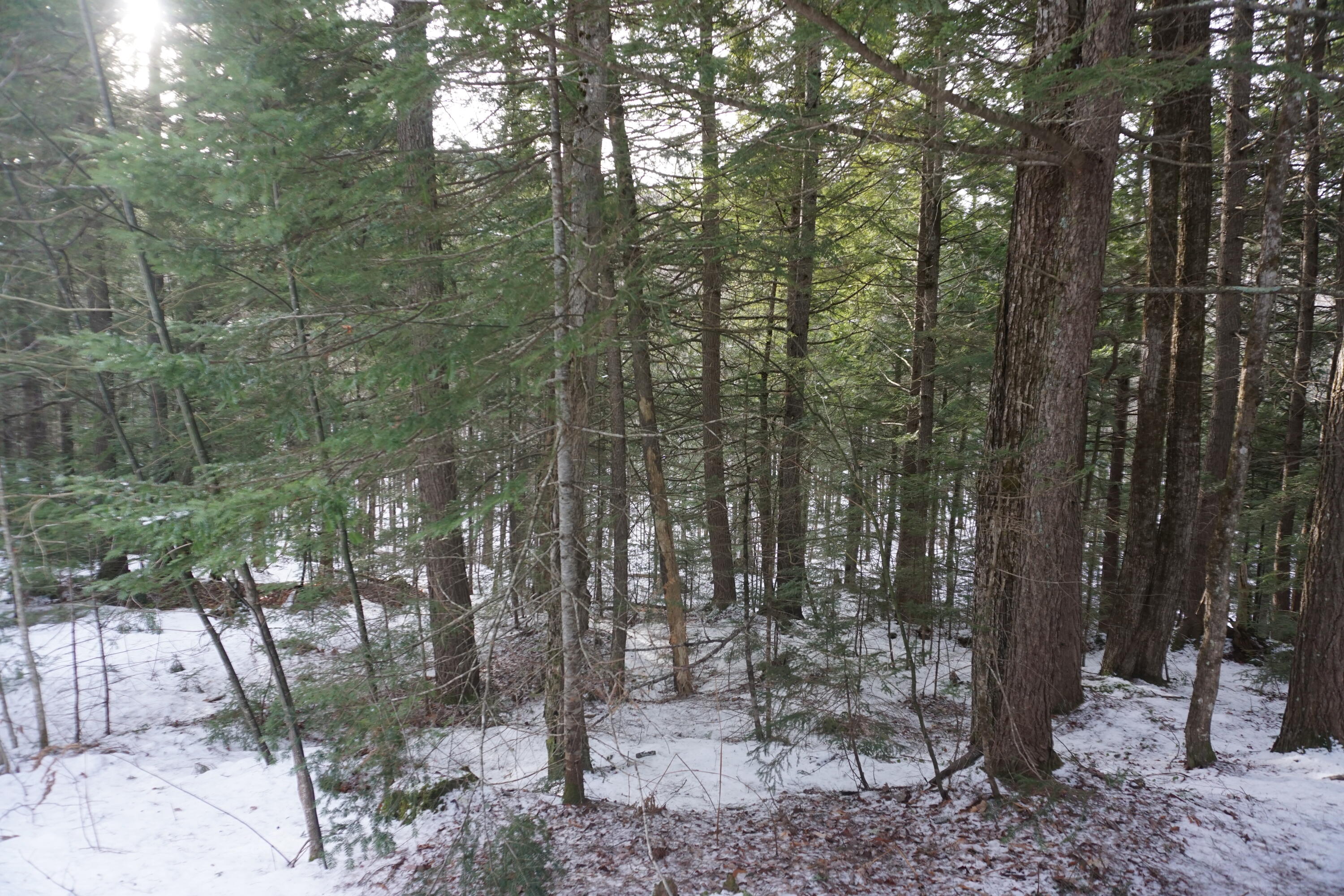 1 Redding Road Sumner, ME 04292 - Photo 15 of 21
