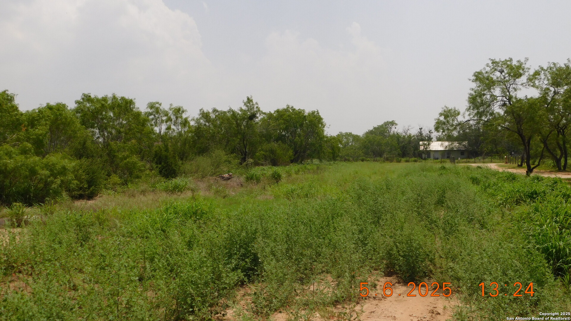 238 East Ditto Road Poteet, TX 78065 - Photo 1 of 4 a view of a field of grass and trees