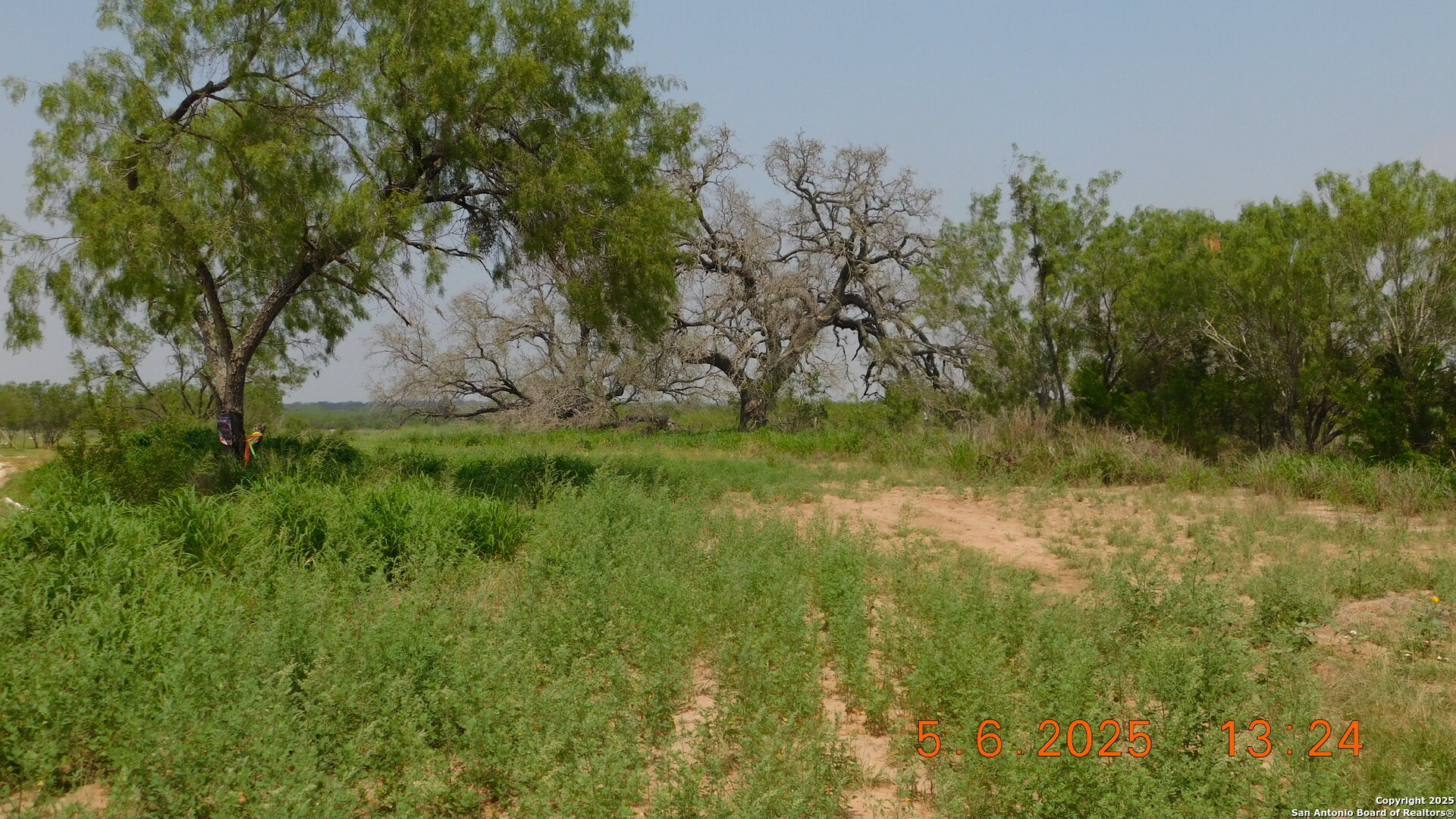 238 East Ditto Road Poteet, TX 78065 - Photo 2 of 4 a view of swimming pool with a yard