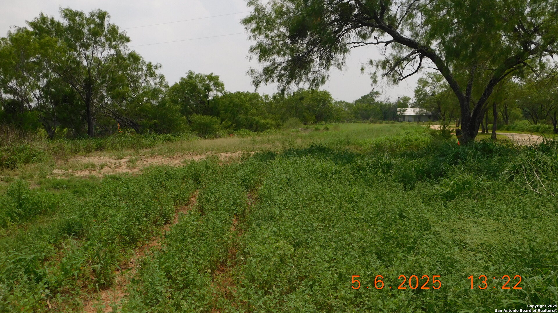 238 East Ditto Road Poteet, TX 78065 - Photo 3 of 4 a view of outdoor space and yard